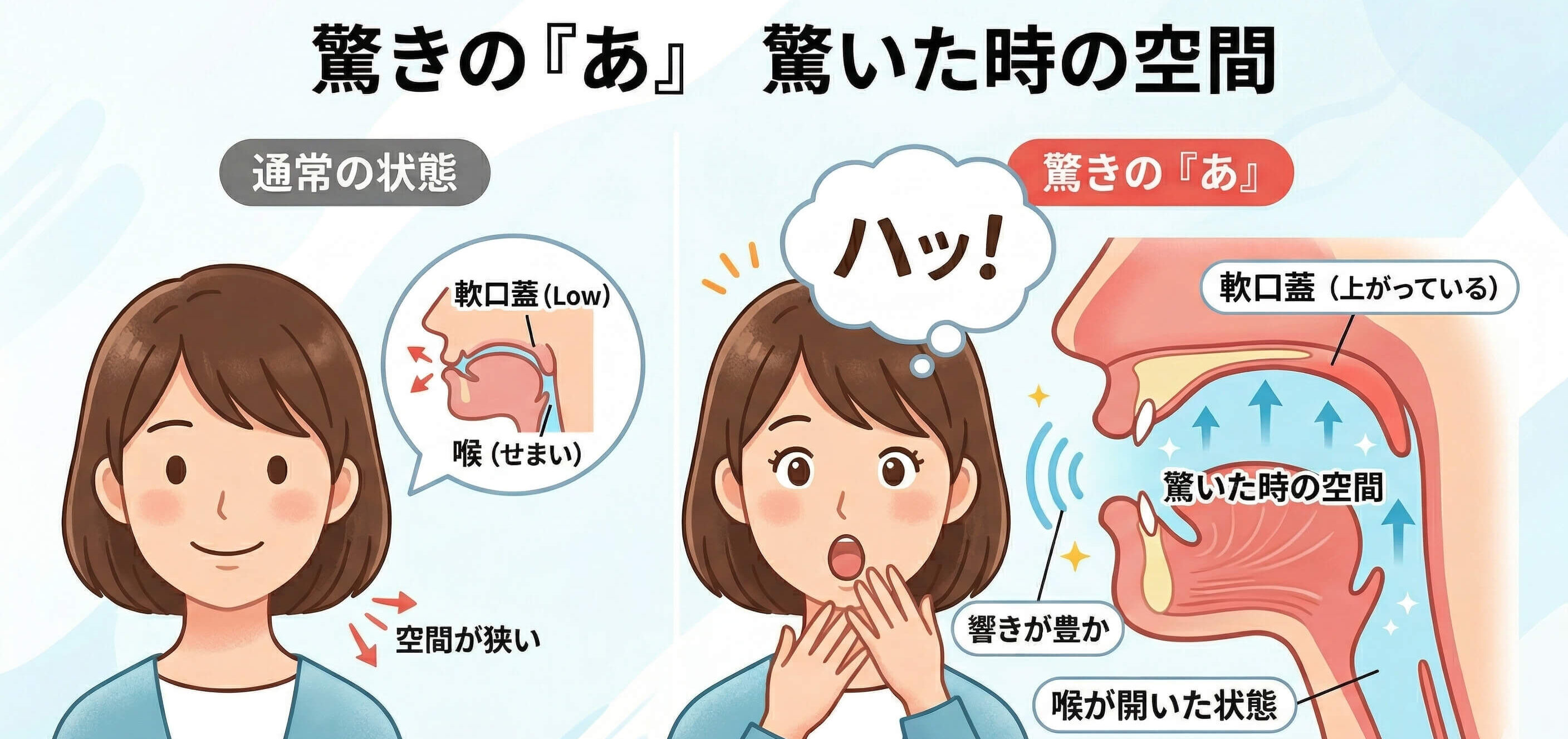 驚きの「あ」 （軟口蓋を上げる）